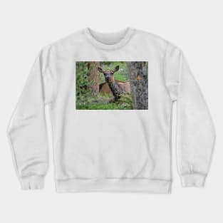 Resting Lady Elk Crewneck Sweatshirt